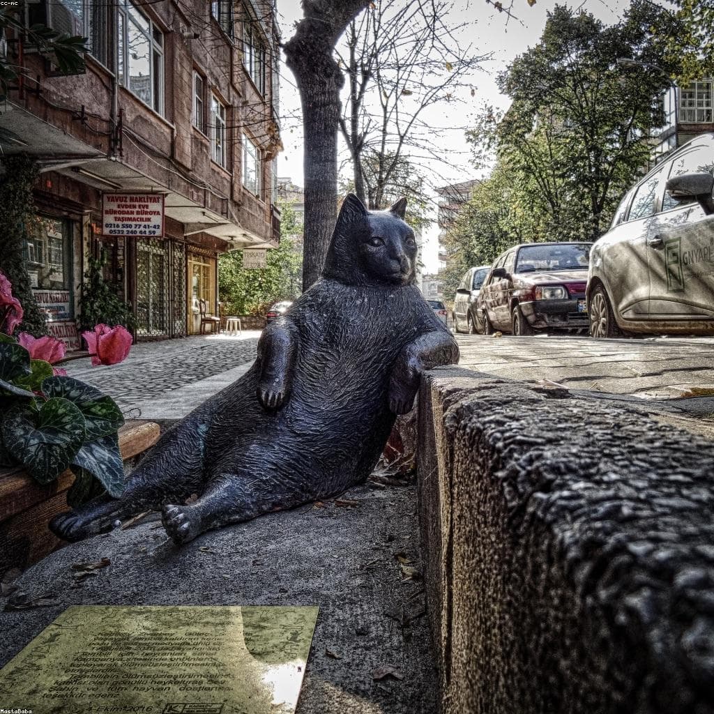 Decision Support Dashboard